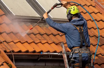 Démoussage et hydrofuge de toiture à Mas-de-Londres